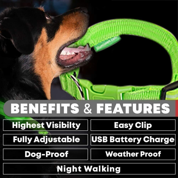 USB Rechargeable LED Pet Dog Collar Flashing Luminous Safety Light up Nylon UK - Image 5