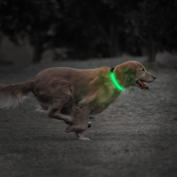 USB Rechargeable LED Pet Dog Collar Flashing Luminous Safety Light up Nylon UK - Image 12