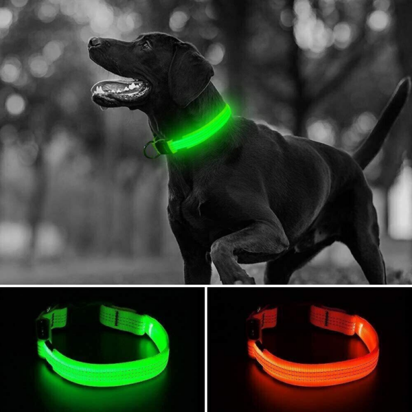 USB Rechargeable LED Pet Dog Collar Flashing Luminous Safety Light up Nylon UK - Image 6