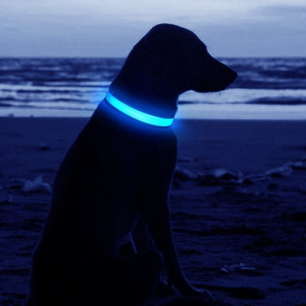 USB Rechargeable LED Pet Dog Collar Flashing Luminous Safety Light up Nylon UK - Image 14