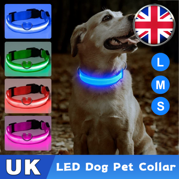 USB Rechargeable LED Pet Dog Collar Flashing Luminous Safety Light up Nylon UK - Image 2