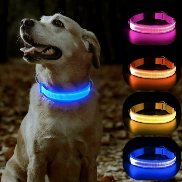 USB Rechargeable LED Pet Dog Collar Flashing Luminous Safety Light up Nylon UK - Image 8